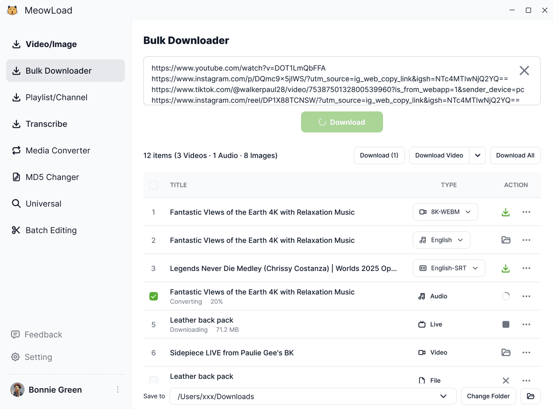 Bulk Downloader