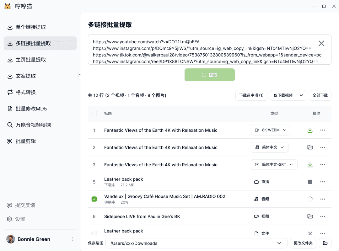 Bulk Downloader